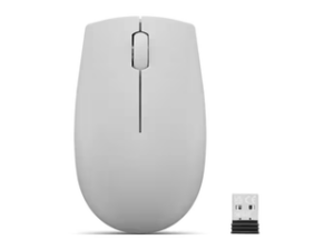 LENOVO 300 Wireless Compact Mouse (Arctic Grey) with battery Artic Grey